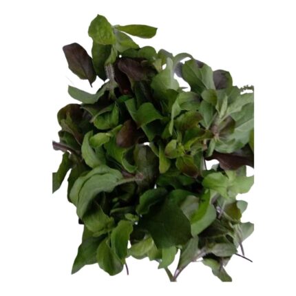 dev poojan tulsi leaf