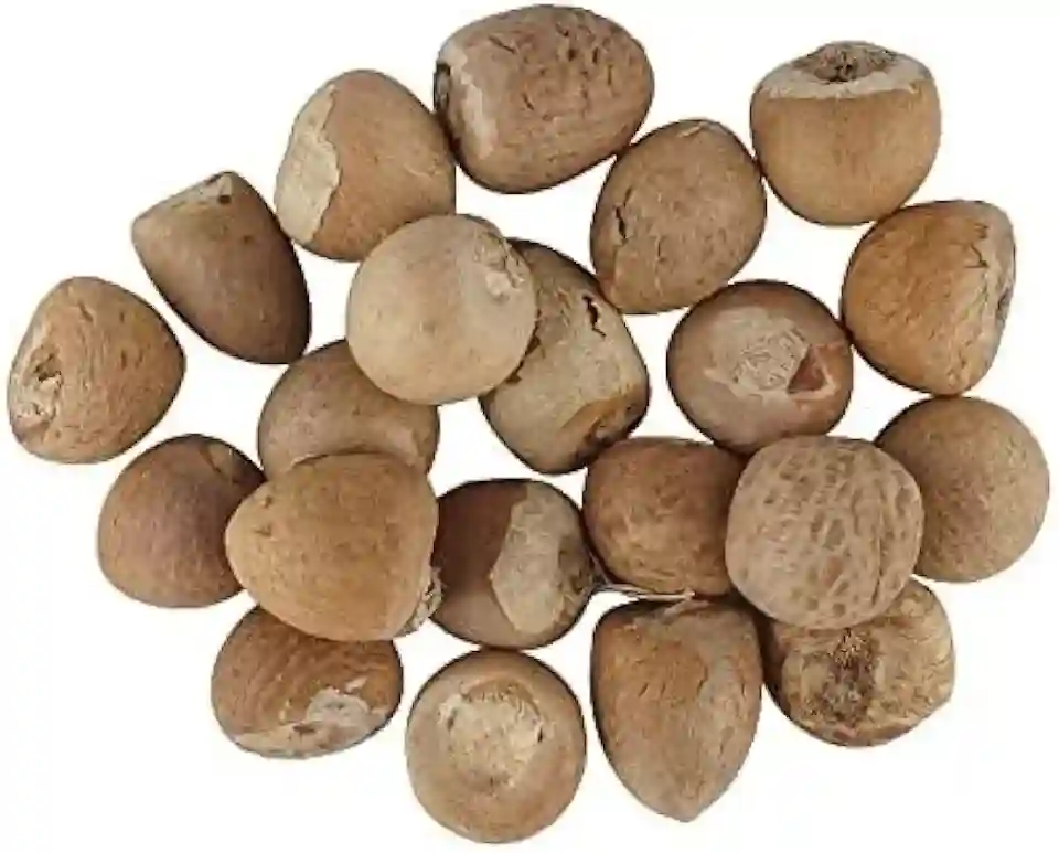 Dev Poojan Premium Supari (Betel Nut / Areca Nut) – 100gm | For Daily Puja & Auspicious Rituals Dev Poojan Premium Supari (Betel Nut / Areca Nut) – 100gm | For Daily Puja & Auspicious Rituals